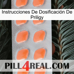 Instrucciones De Dosificación De Priligy 26